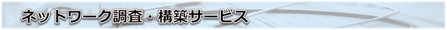 ネットワーク調査・構築サービス